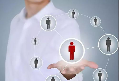 標準化管理奠定根基，個性化營銷點亮未來 論酒店發展的雙翼