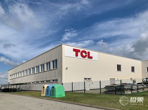 對話王成 TCL如何在2020年躋身歐洲前三，國內貿易代理又扮演何種角色？